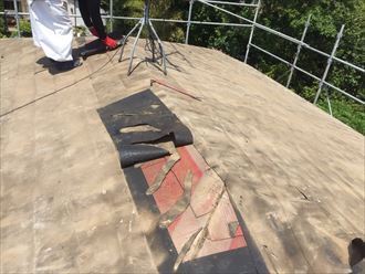 ブログタイトル