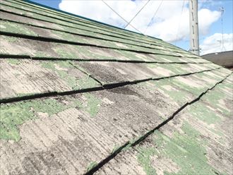 ブログタイトル