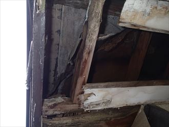 ブログタイトル