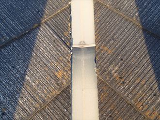 ブログタイトル