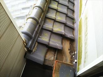 ブログタイトル