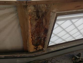 ブログタイトル