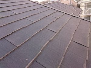 江戸川区パミール001