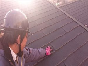 江戸川区パミール002