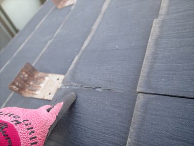 ブログタイトル