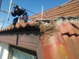 ブログタイトル