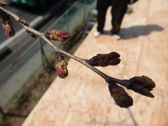 ブログタイトル