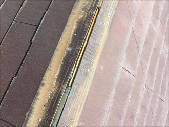 ブログタイトル