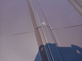 ブログタイトル