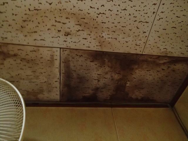 ブログタイトル
