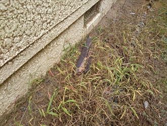 葛飾区霧除け補修002
