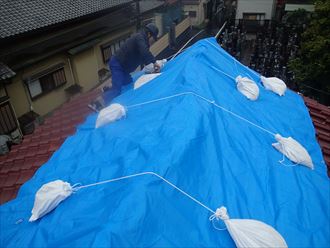 瓦屋根雨漏り養生