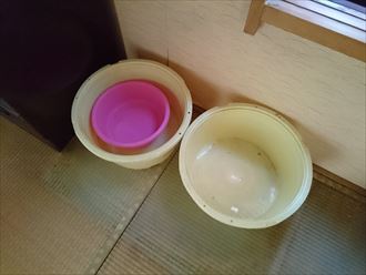 ブログタイトル