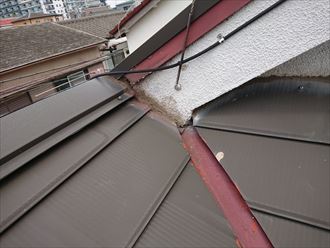 江戸川区カバー屋根の雨漏り002