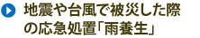 地震や台風で被災した際の応急処置「雨養生」