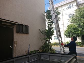 江戸川区屋上トタン屋根雨漏り003