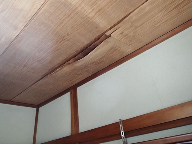 ブログタイトル