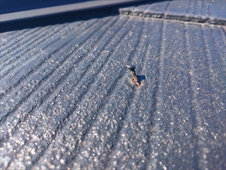 ブログタイトル