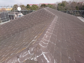 ブログタイトル