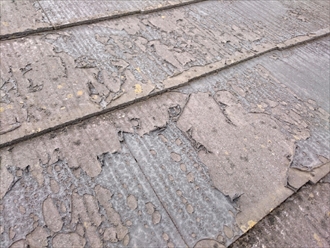 ブログタイトル