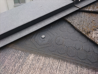 ブログタイトル