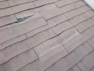 ブログタイトル