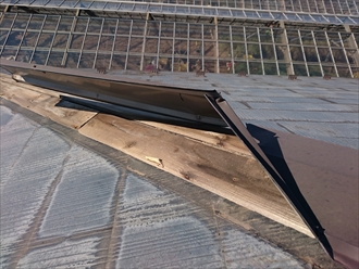 ブログタイトル