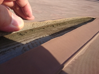 ブログタイトル