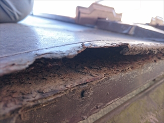 ブログタイトル