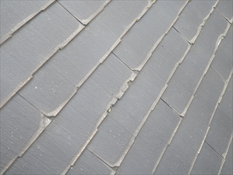 ブログタイトル