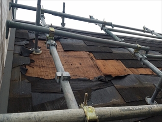 ブログタイトル