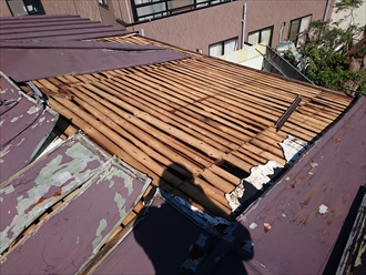 ブログタイトル