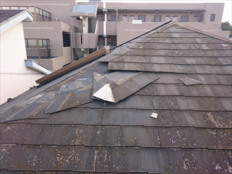 ブログタイトル