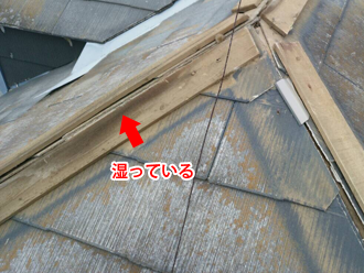 八王子市　棟板金の貫板が湿って傷んでいる