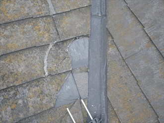 ブログタイトル