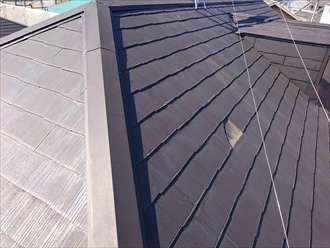 ブログタイトル