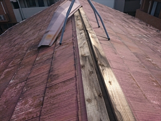 ブログタイトル