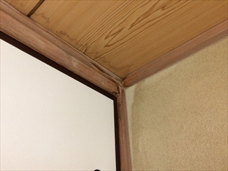 ブログタイトル