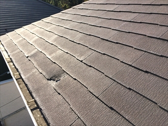 ブログタイトル