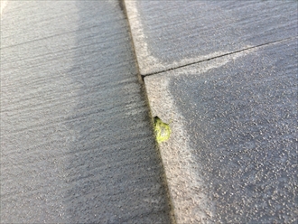 ブログタイトル