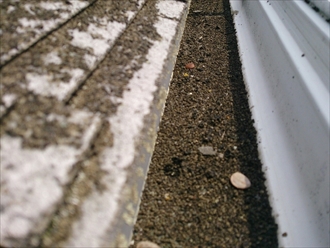 ブログタイトル