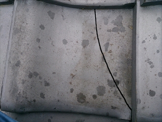 ブログタイトル