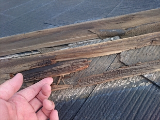 ブログタイトル