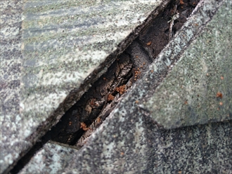 ブログタイトル