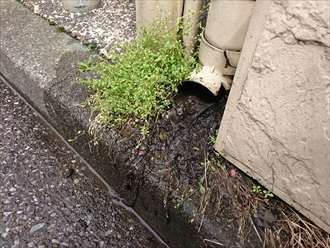 排水管からゴミが大量に