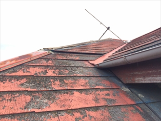 ブログタイトル