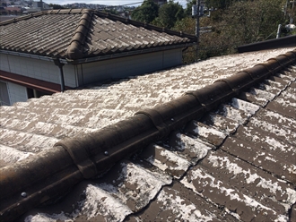 ブログタイトル