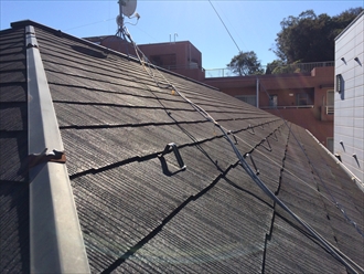 ブログタイトル