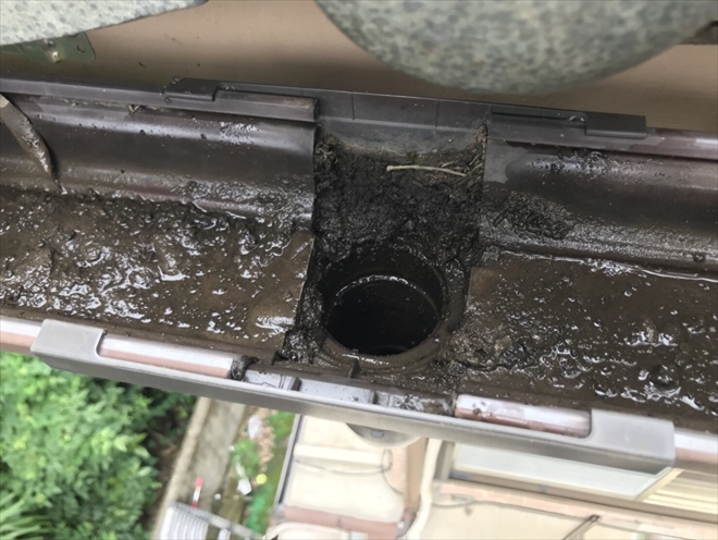雨樋清掃で集水器の詰まり解消