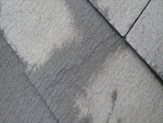 ブログタイトル